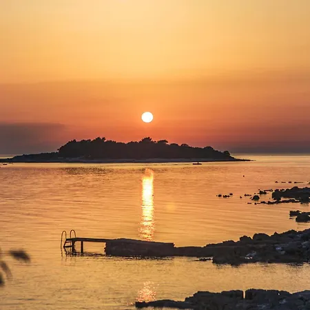 Two-bedroom In Vii *