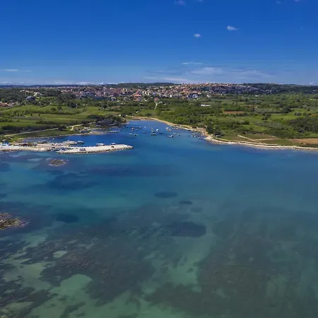 Two-bedroom In Vii Lejlighed