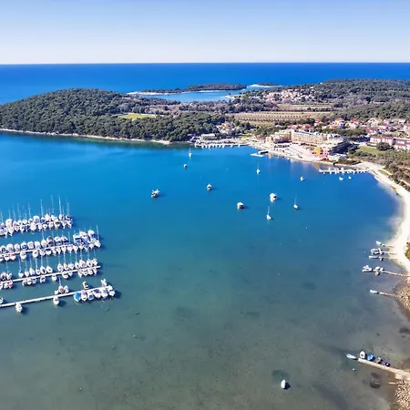 Two-bedroom In Vii *