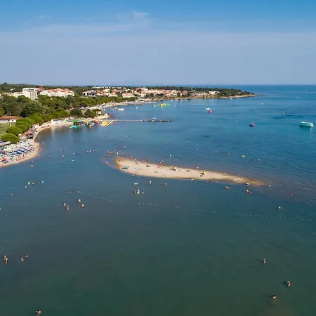 Two-bedroom In Vii *