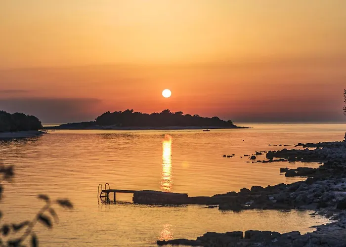 Two-bedroom In Vii *