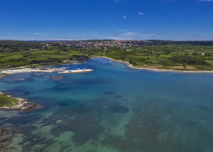 Two-bedroom In Vii Lejlighed