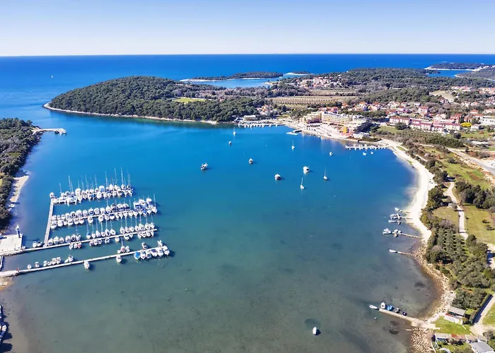 Two-bedroom In Vii *