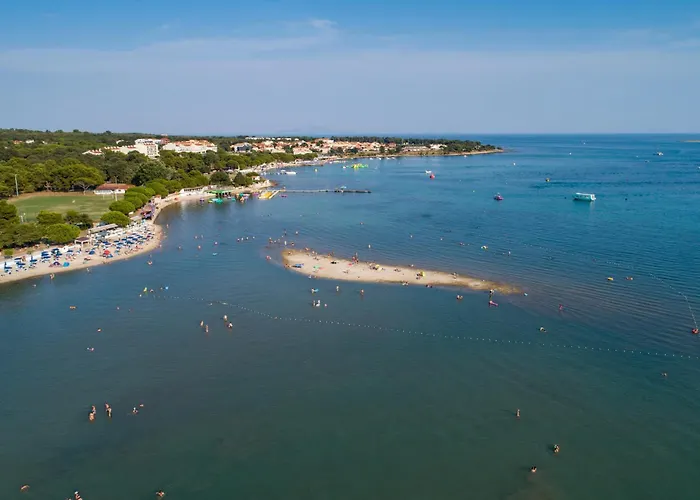 Two-bedroom In Vii *